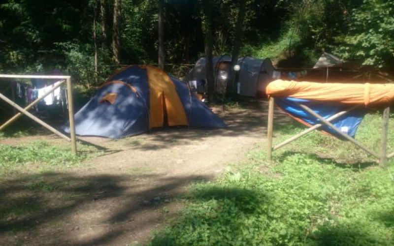 pitches in the wood pitches in the wood